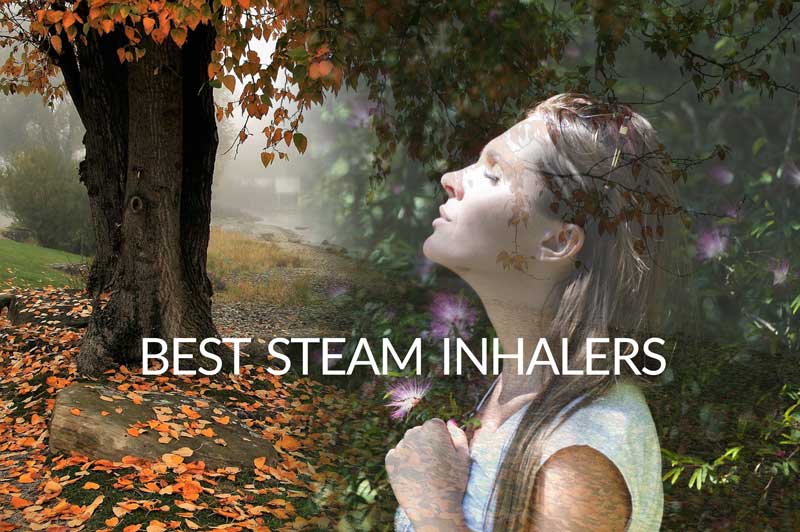 best-steam-inhaler-india